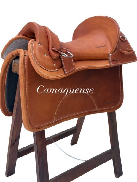 Freno de Oro Camaquense