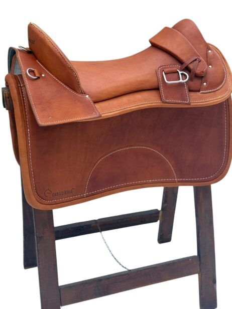 Montura Freno de Oro Camaquense- Crioula - Imagen 3
